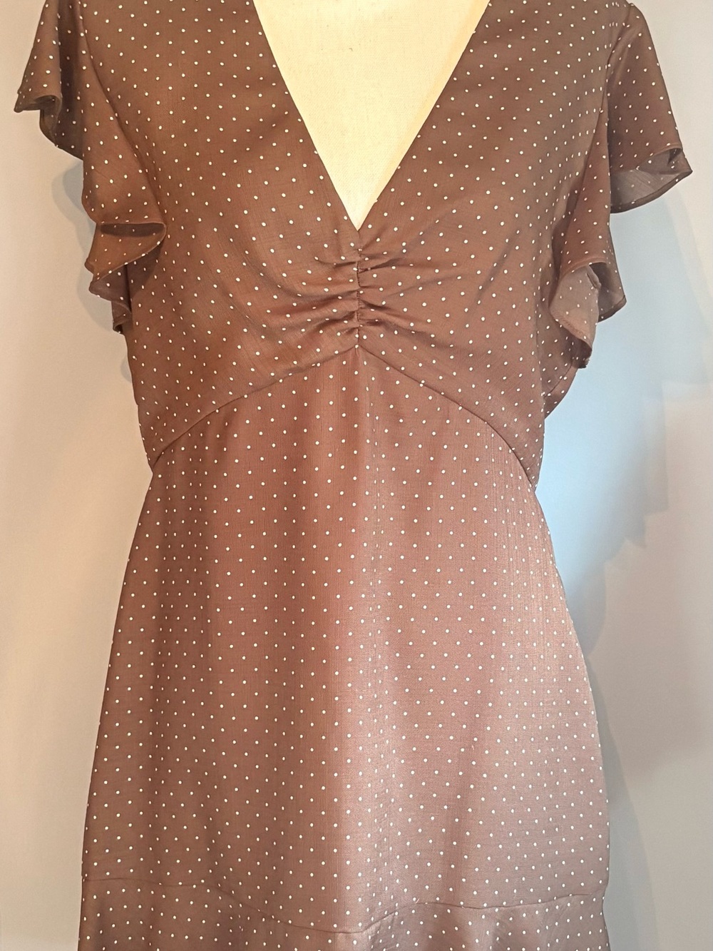 Women’s Brown Polka Dot V-Neck dress